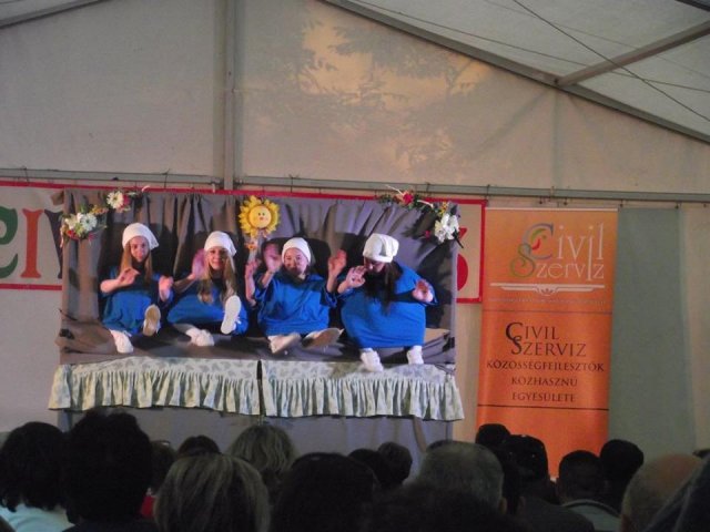 IX. Civil Majális (2016)