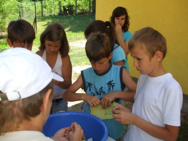 Kölyökhét 2011