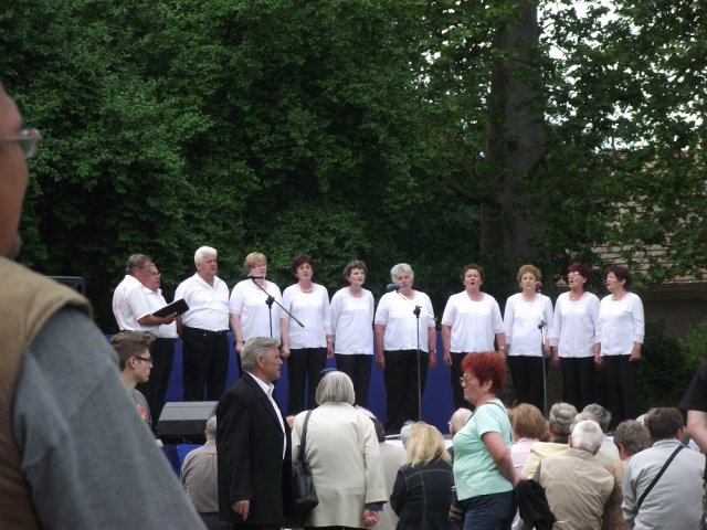 Civil Majális 2015