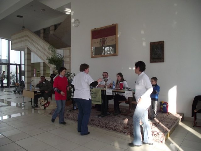 Sulimpia 2011