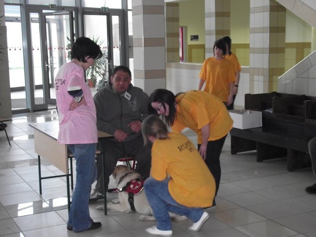 Sulimpia 2011